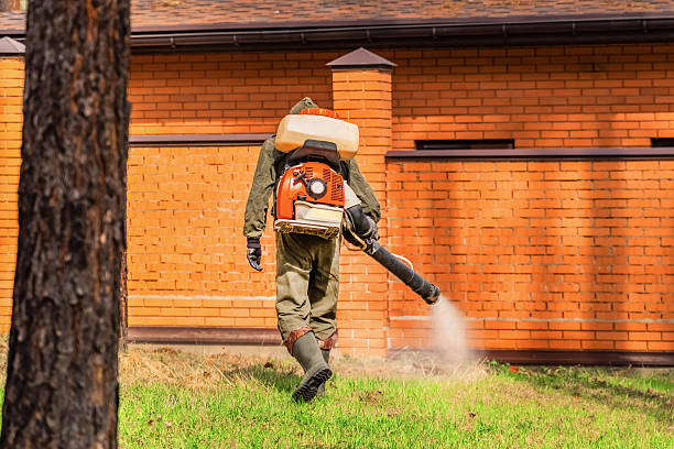 Bed Bug Clearance Verification and Documentation in Seaford